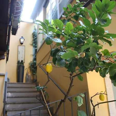 La Terrazza Dei Limoni *